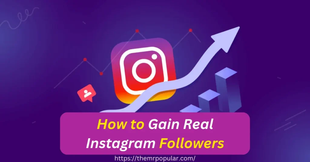 How to Gain Real Instagram Followers Organically – themrpopular how to gain real instagram followers organically