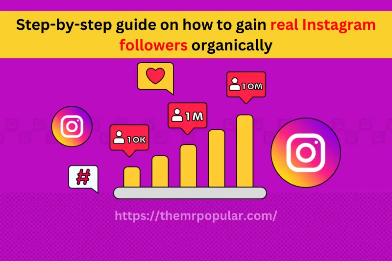 step-by-step guide on how to gain real instagram followers organically