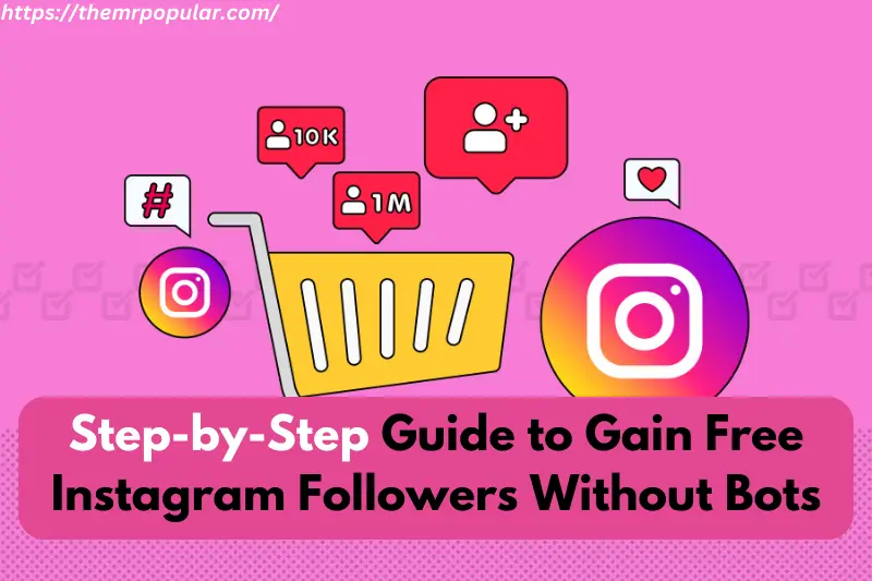 step-by-step guide to gain free instagram followers without bots