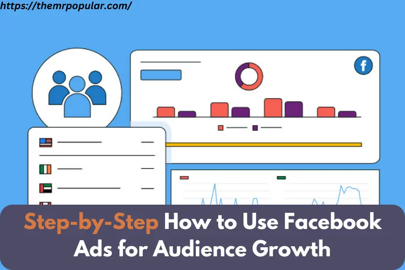 step-by-step how to use facebook ads for audience growth