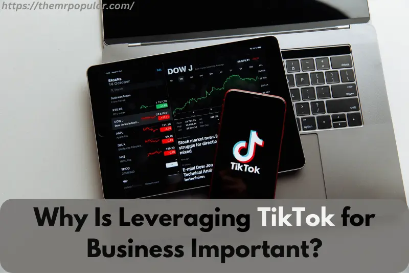 why Is leveraging tiktok for business important