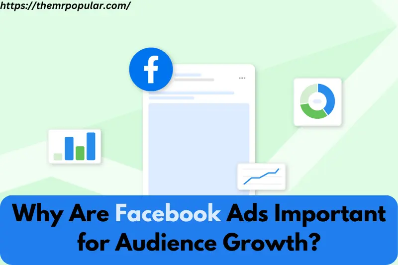 why are facebook ads important for audience growth