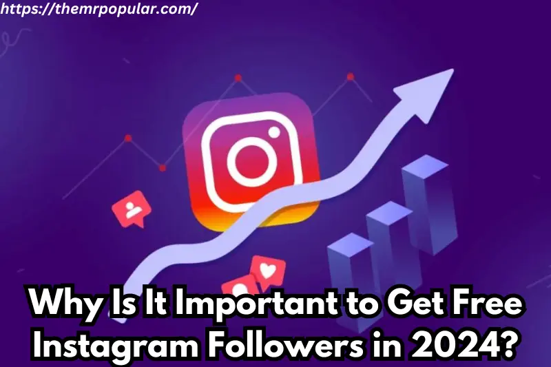 why is it important to get free instagram followers in 2024