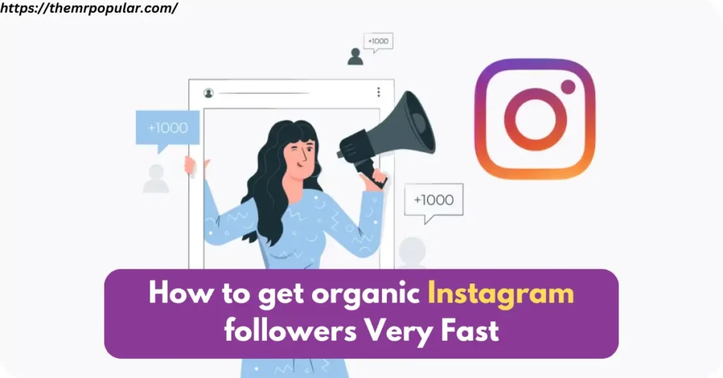 How to get organic Instagram followers Very Fast   -The Mr Popular how to get organic instagram followers very fast
