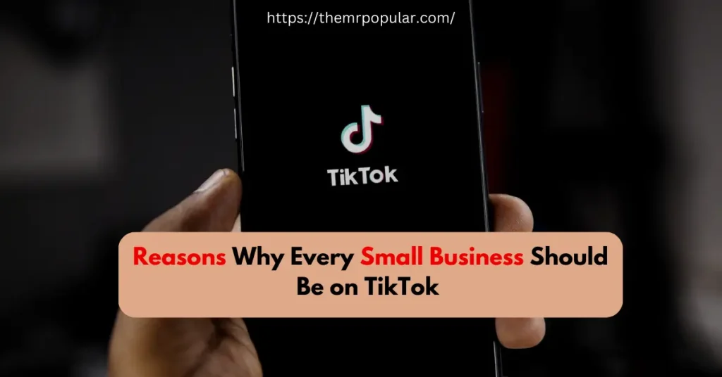 Reasons Why Every Small Business Should Be on TikTok – The Mr Popular reasons why every small business should be on tiktok