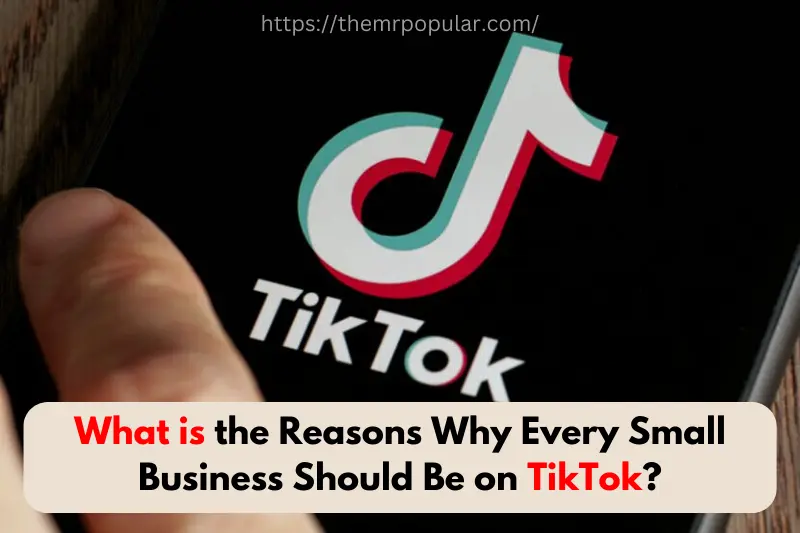 what is the reasons why every small business should be on tiktok