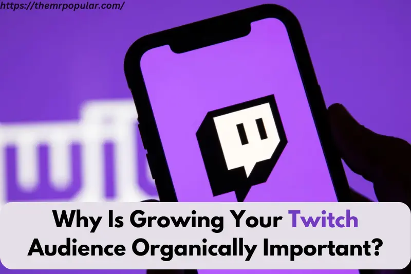 why is growing your twitch audience organically important