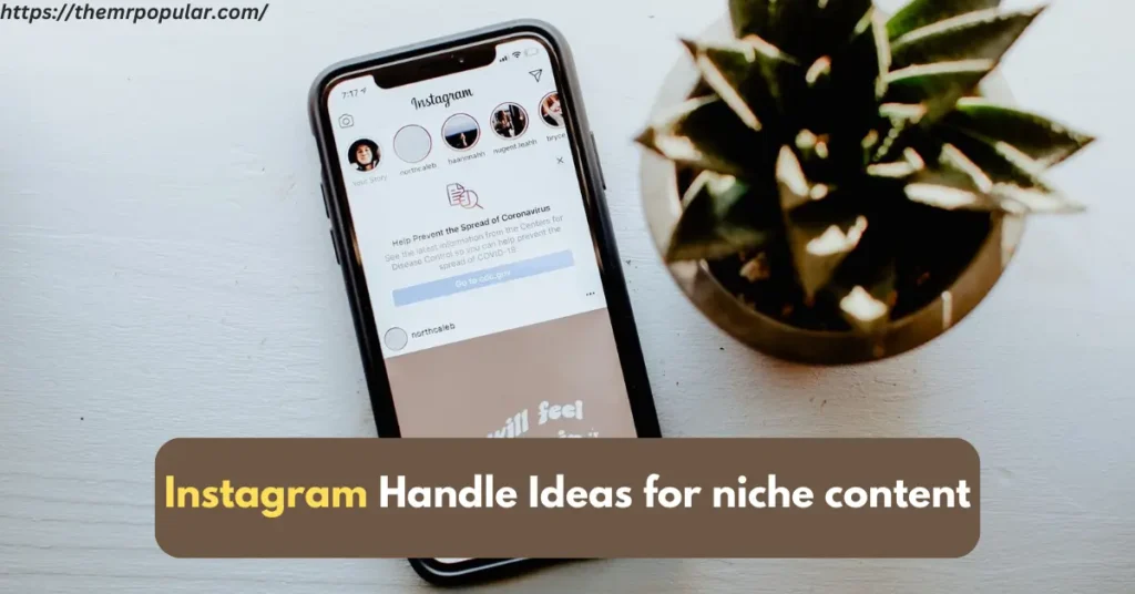 Instagram Handle Ideas for niche content – The Mr Popular instagram handle Ideas for niche content