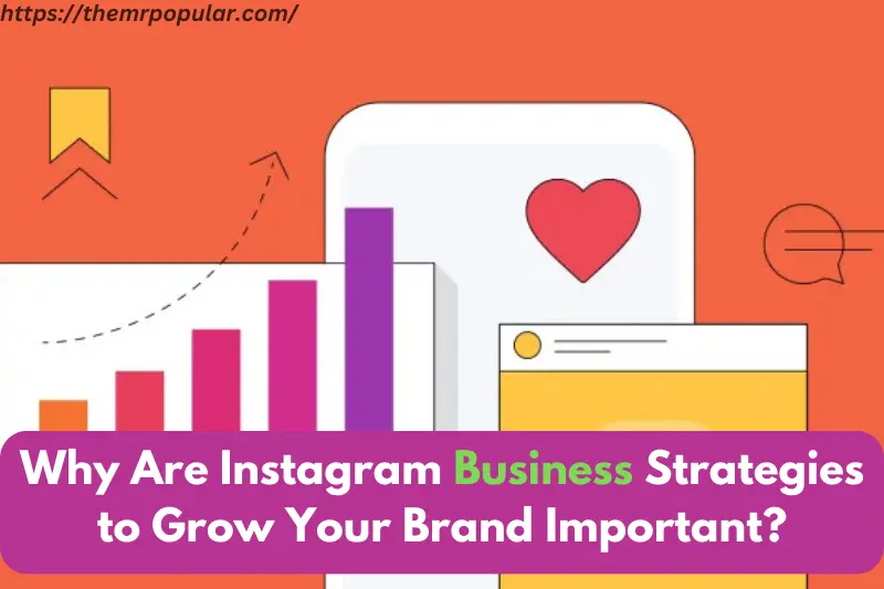 why are instagram business strategies to grow your brand important