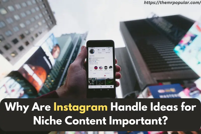 why are instagram handle ideas for niche content important