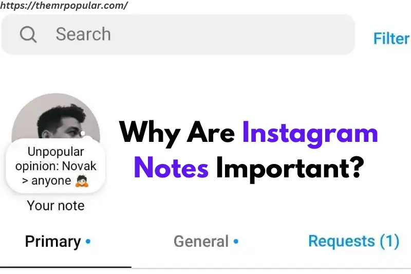 why are instagram notes important