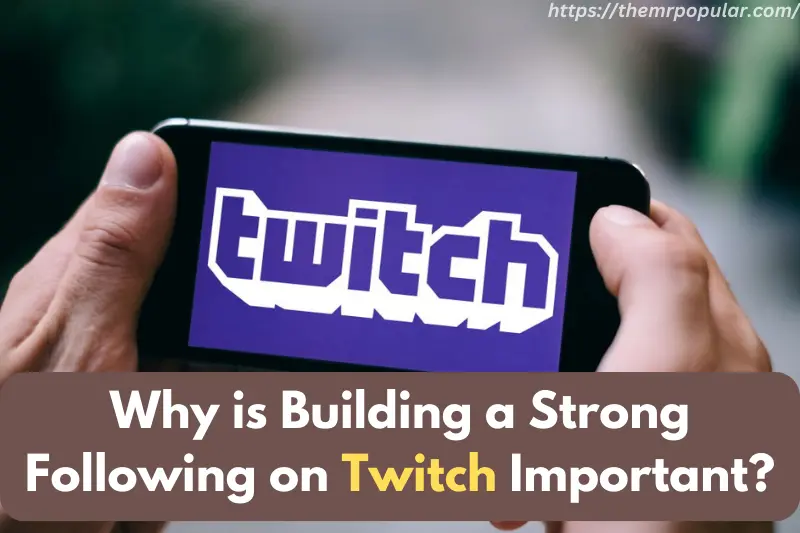 why is building a strong following on twitch important