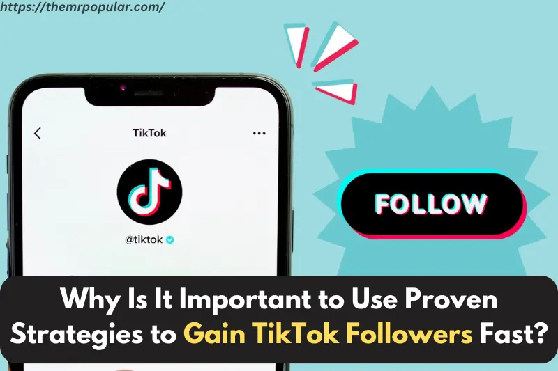 why is it important to use proven strategies to gain tiktok followers fast