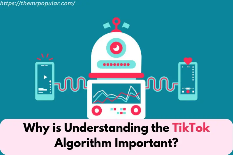 why is understanding the tiktok algorithm important