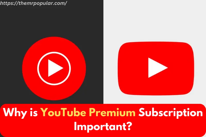 why is youtube premium subscription important