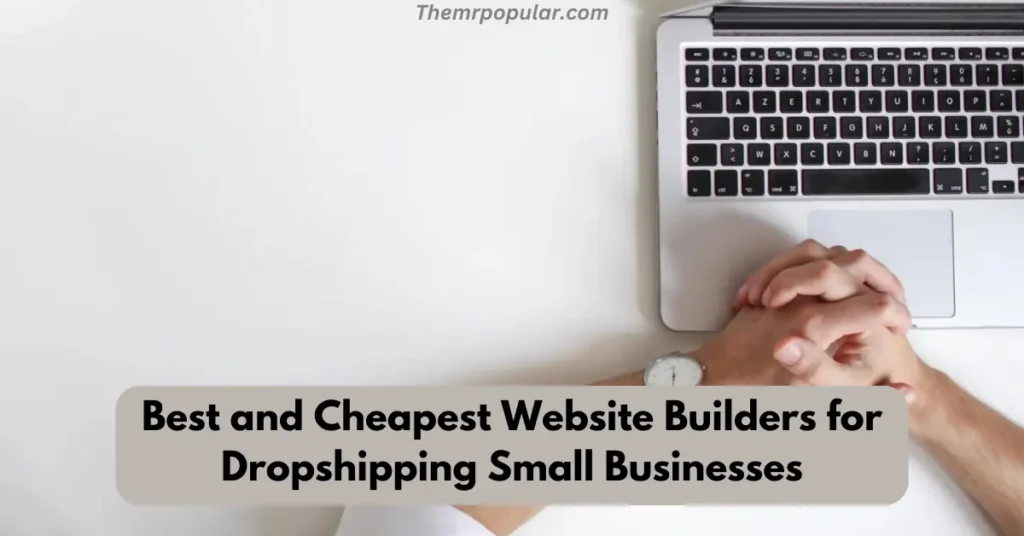 best and cheapest website builders for dropshipping small businesses