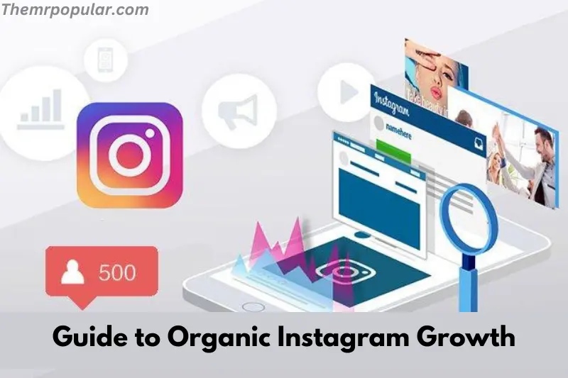 guide to organic instagram growth