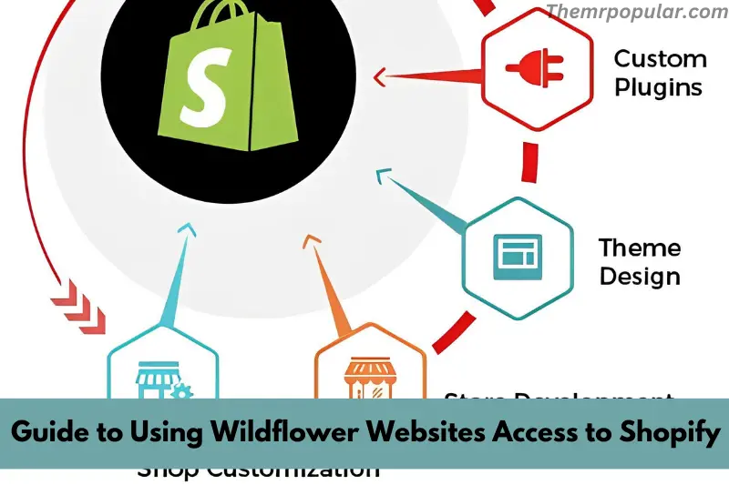 guide to using wildflower websites access to shopify