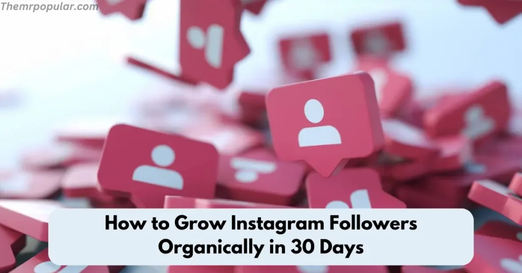how to grow instagram followers organically in 30 days