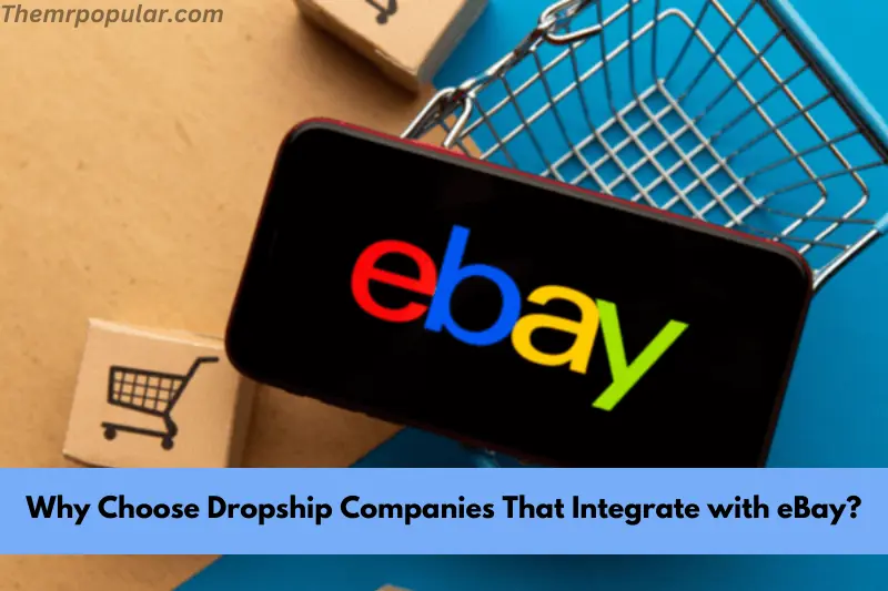 why choose dropship companies that integrate with ebay