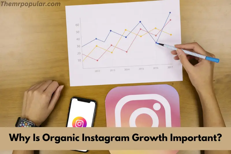 why is organic instagram growth important