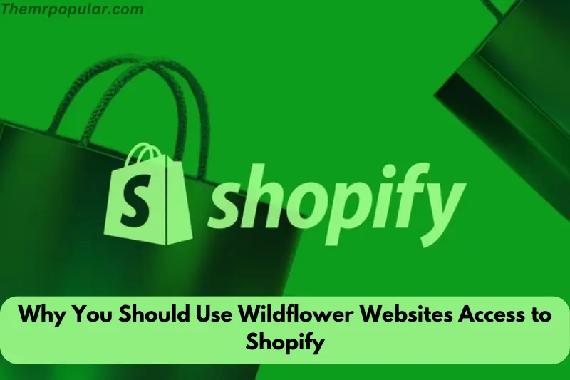 why you should use wildflower websites access to shopify