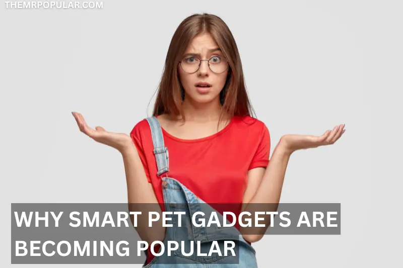 why smart pet gadgets are becoming popular